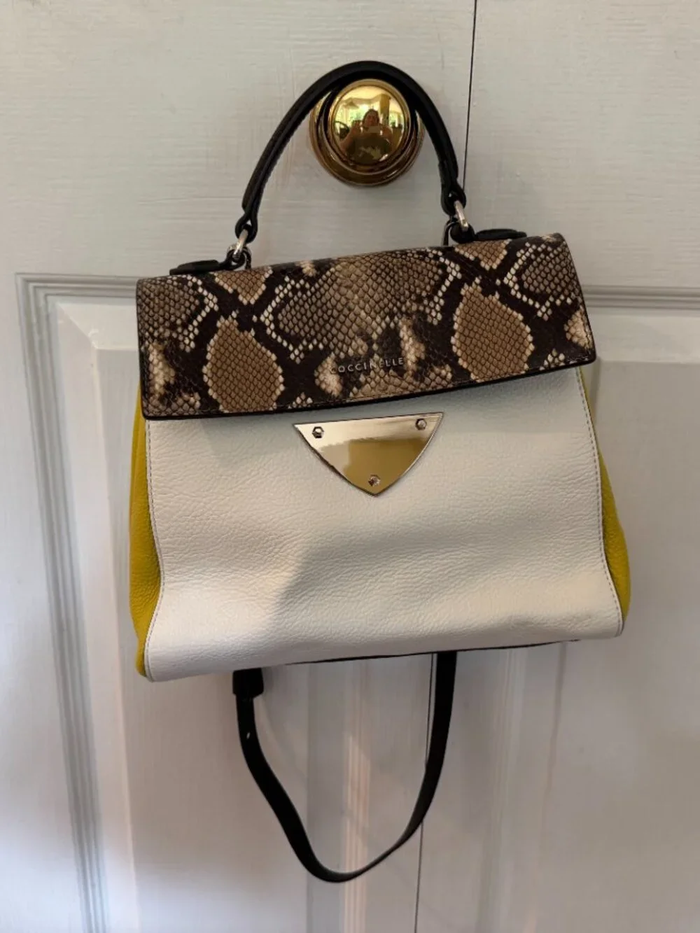 Coccinelle everyday bright